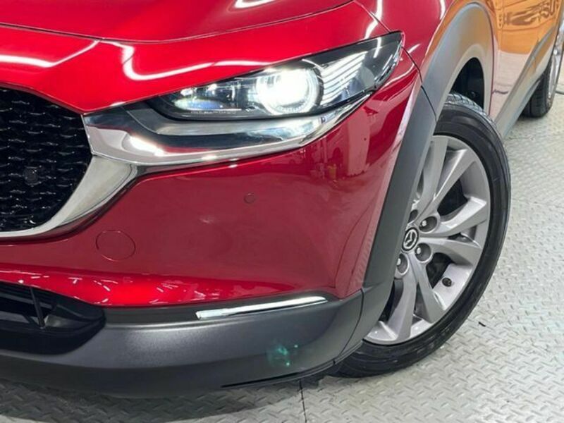 CX-30