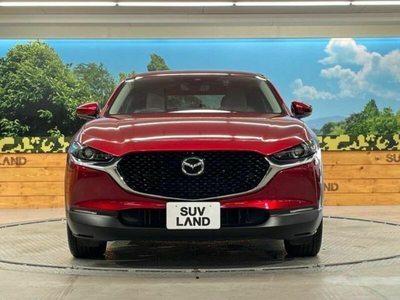 CX-30