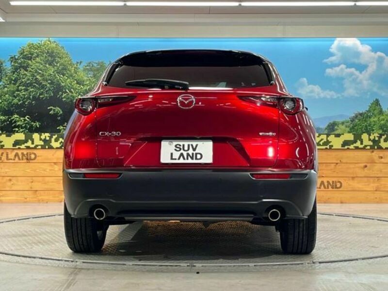 CX-30