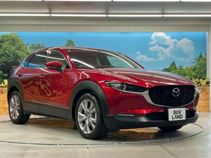 CX-30