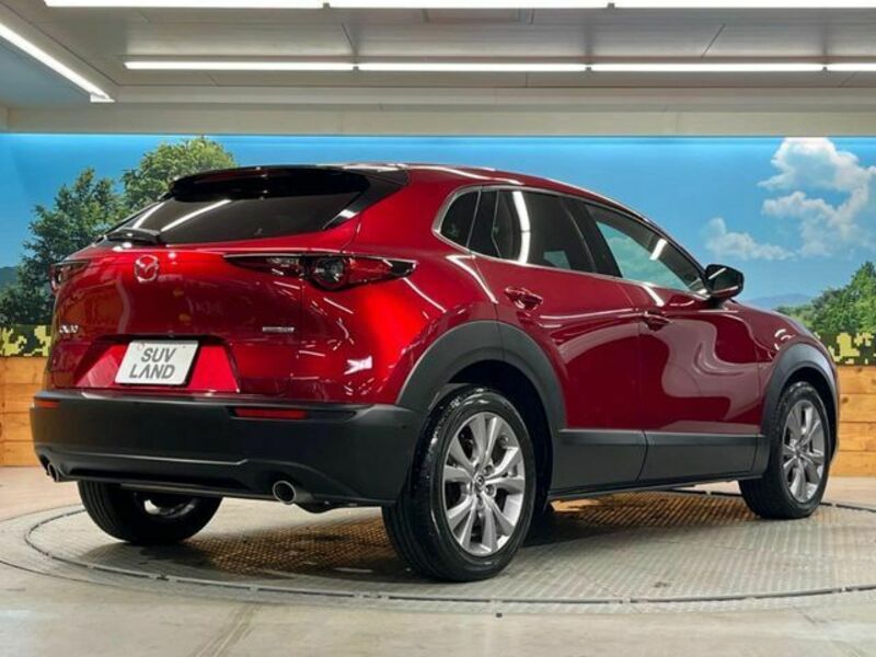 CX-30