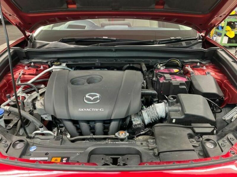 CX-30