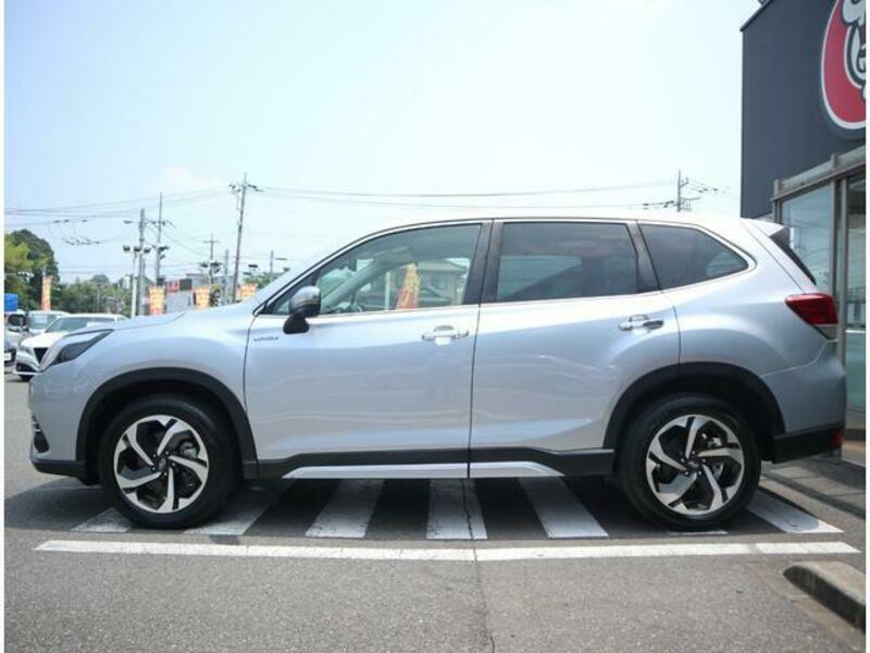 FORESTER