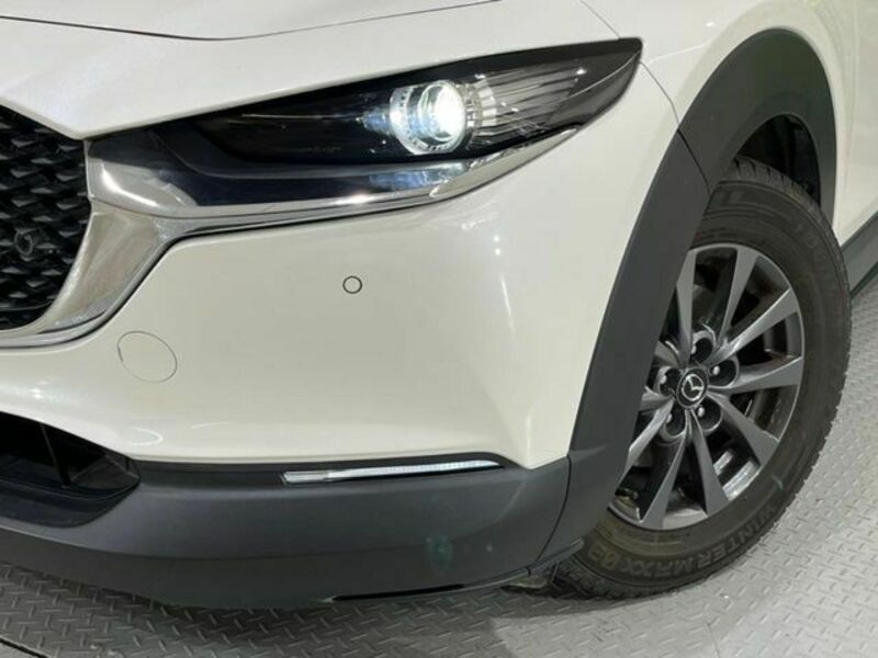CX-30