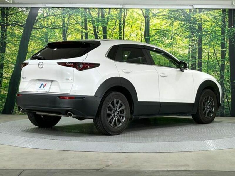 CX-30