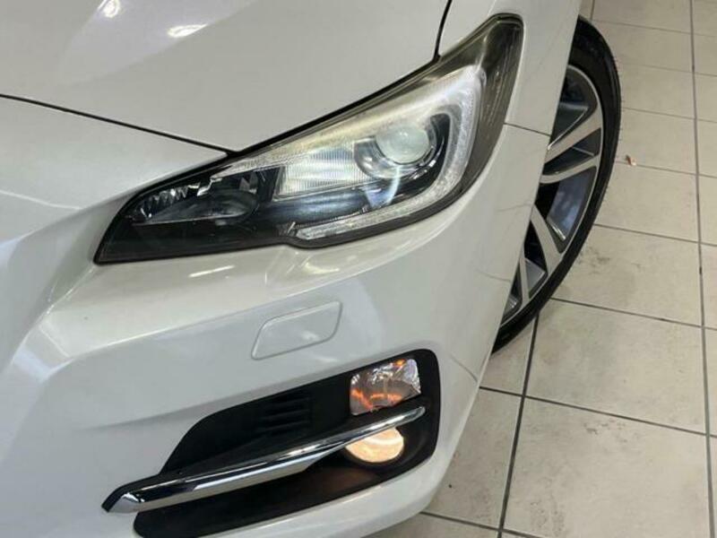 LEVORG