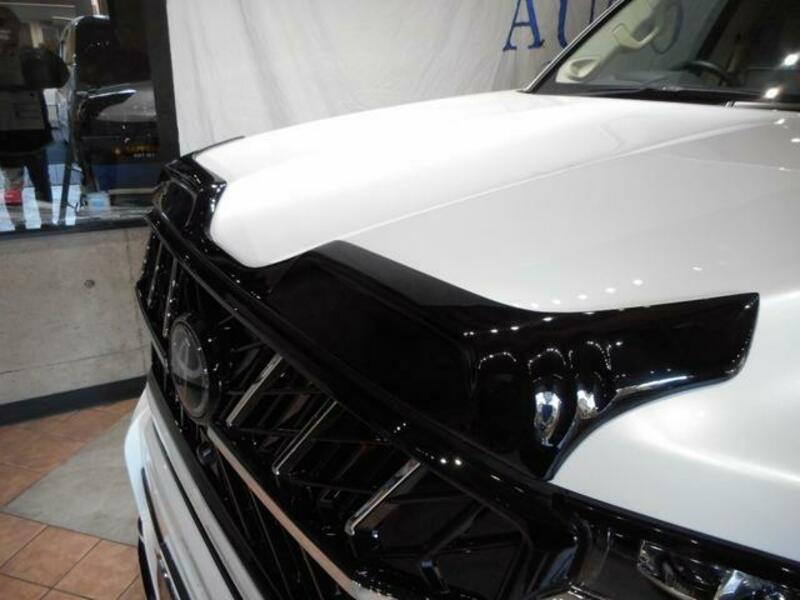 LAND CRUISER