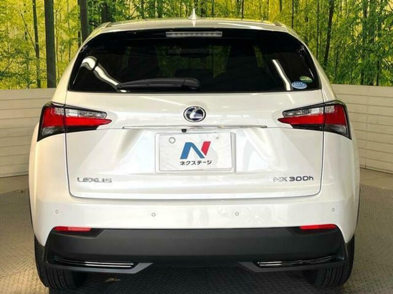 NX