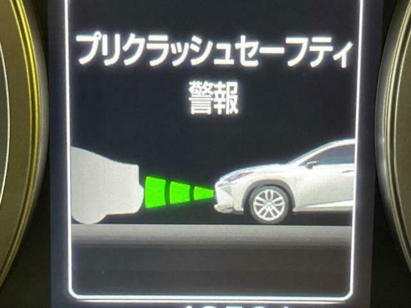 NX