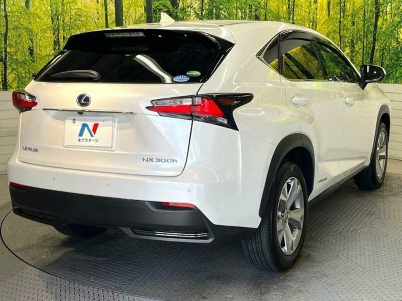 NX