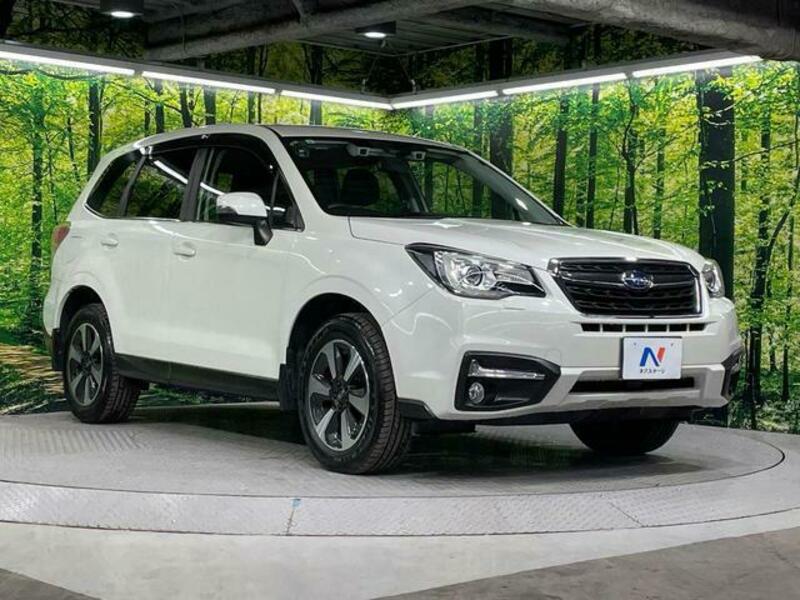 FORESTER