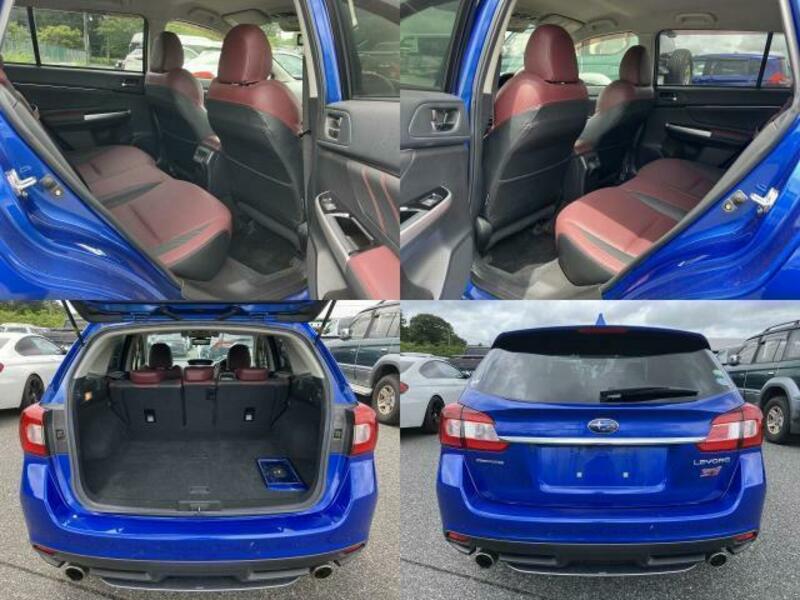 LEVORG