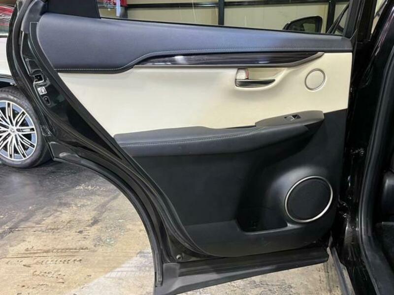 NX