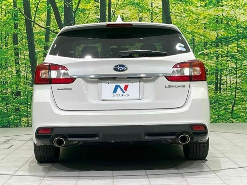 LEVORG