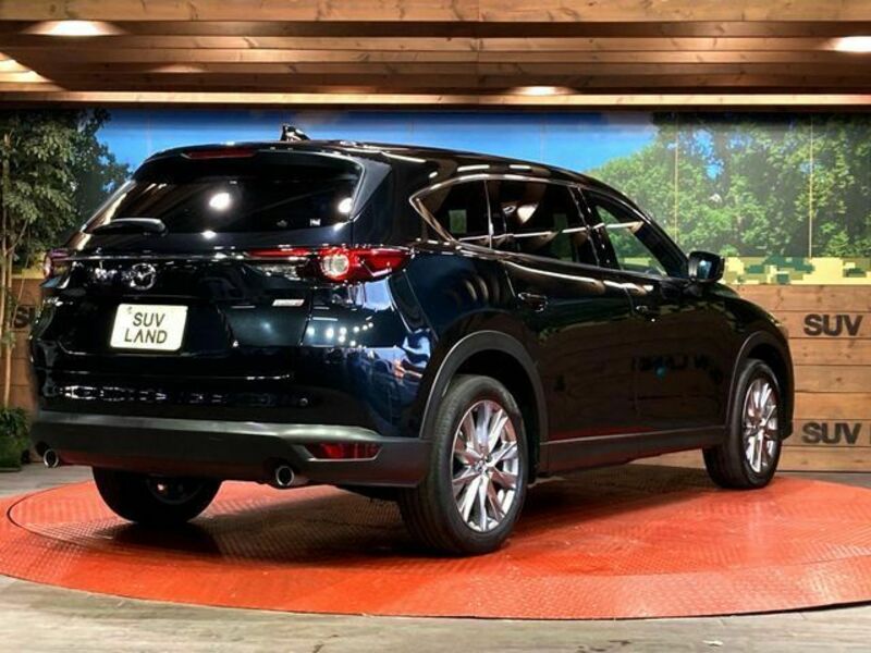 CX-8