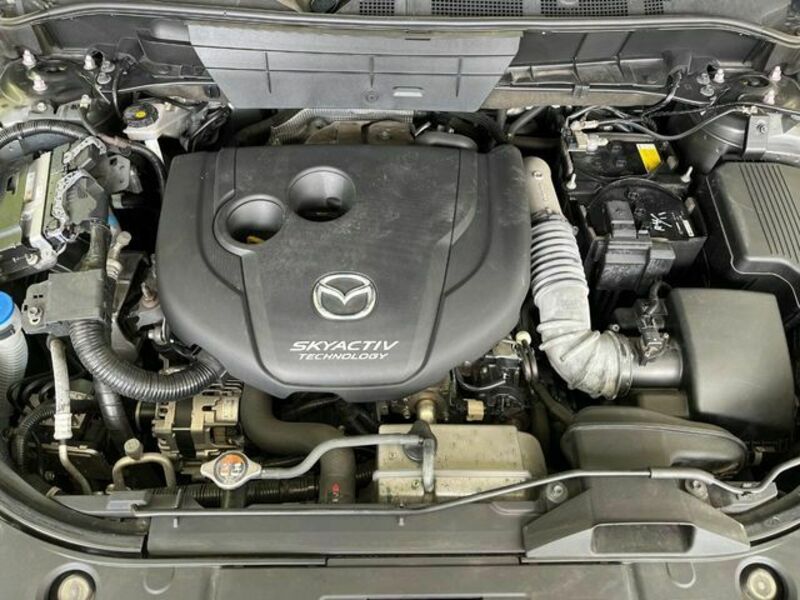 CX-8