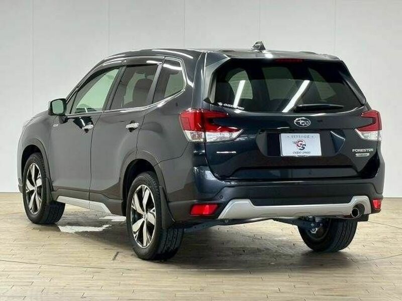 FORESTER