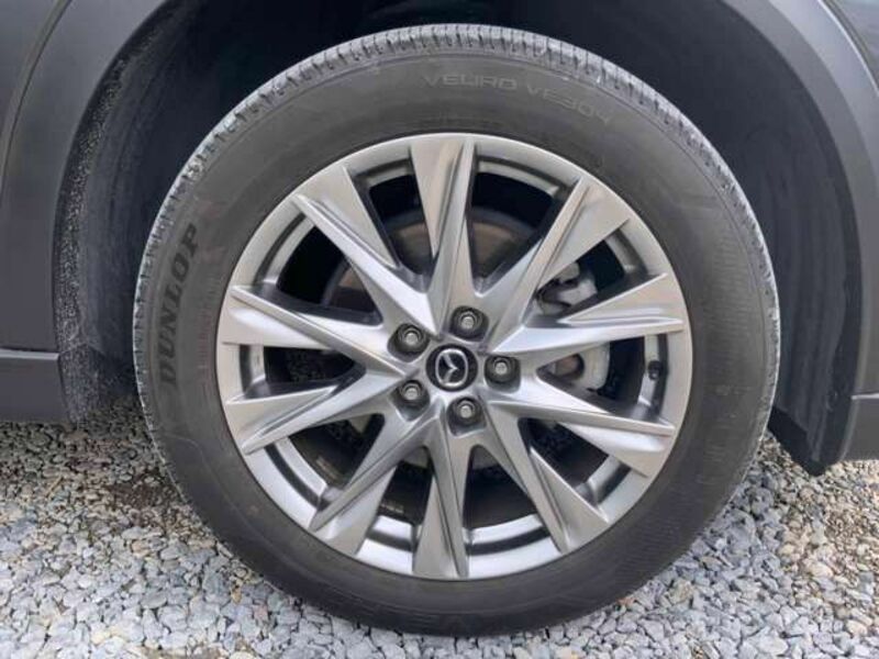 CX-8