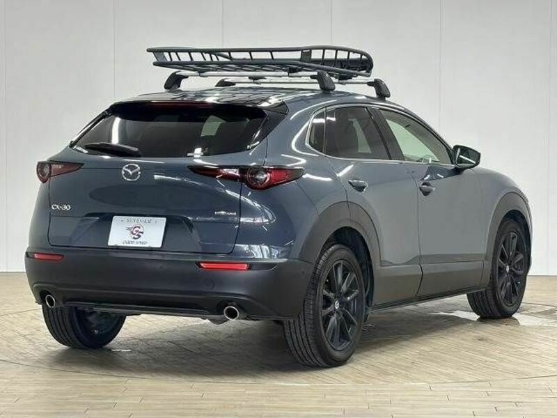 CX-30