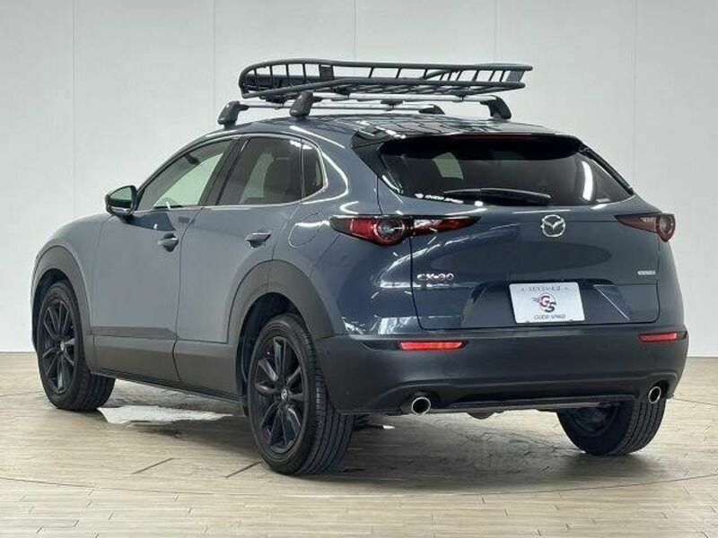 CX-30