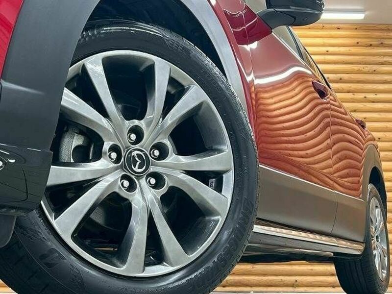 CX-30