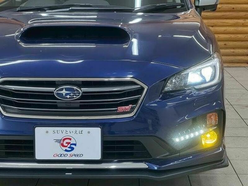 LEVORG