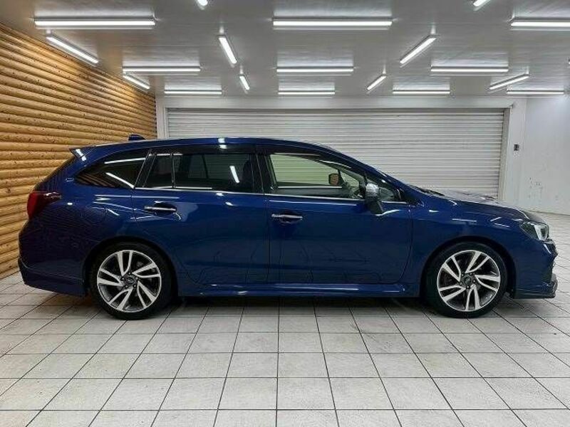 LEVORG