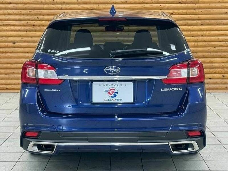 LEVORG