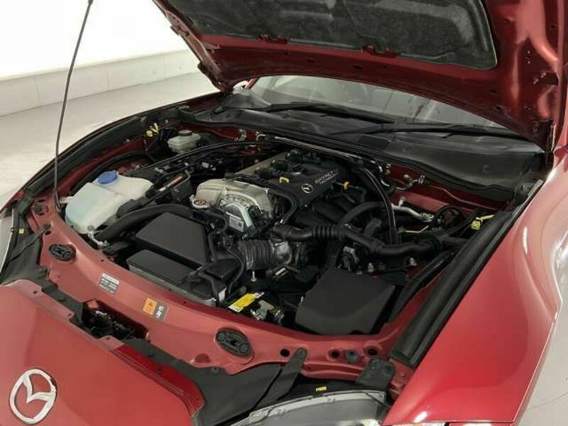 ROADSTER RF