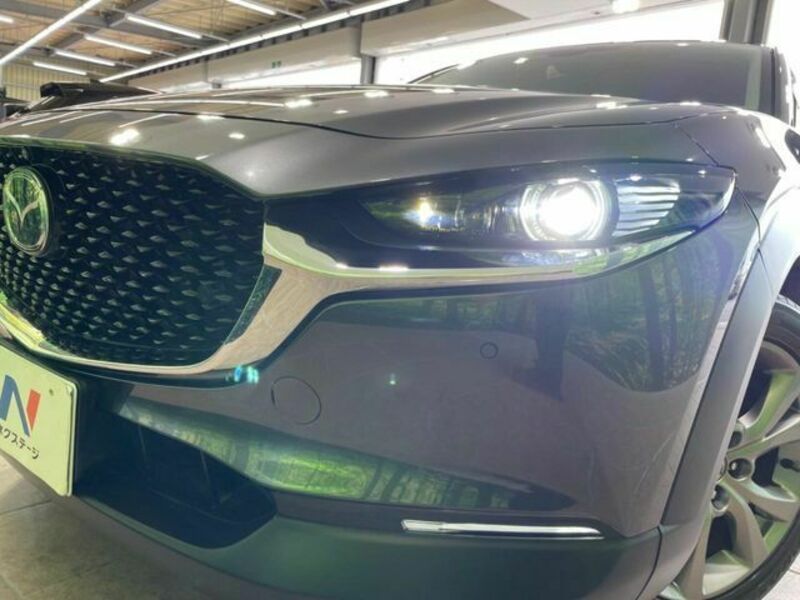 CX-30