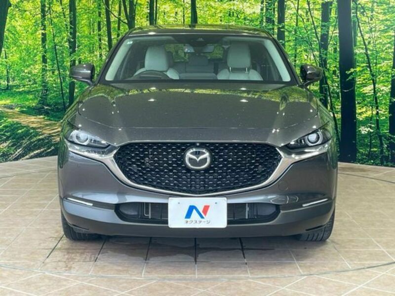 CX-30