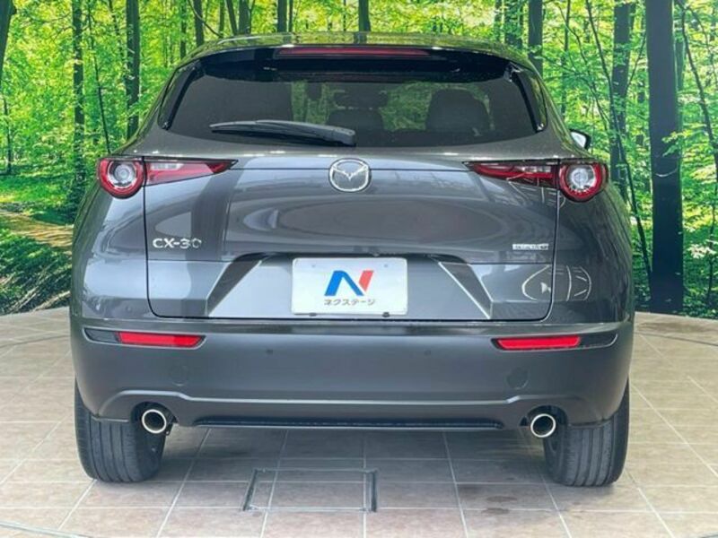 CX-30