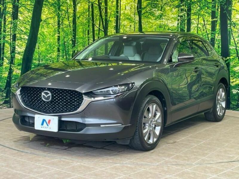 CX-30