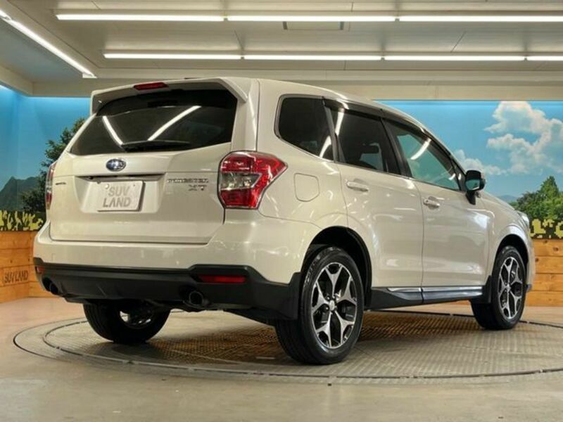 FORESTER