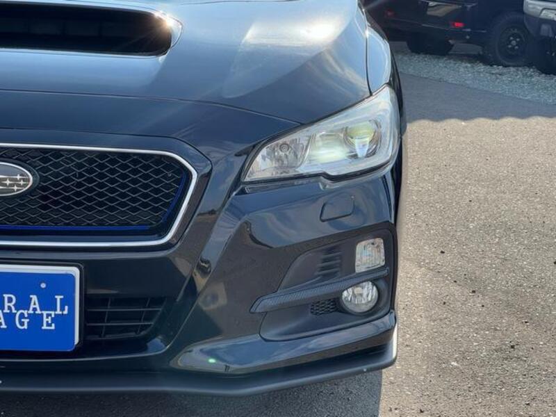 LEVORG