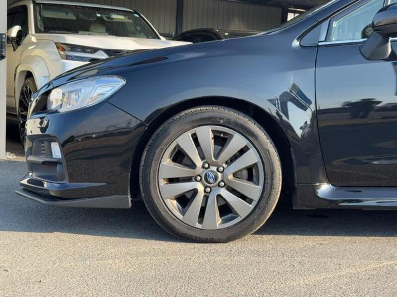 LEVORG