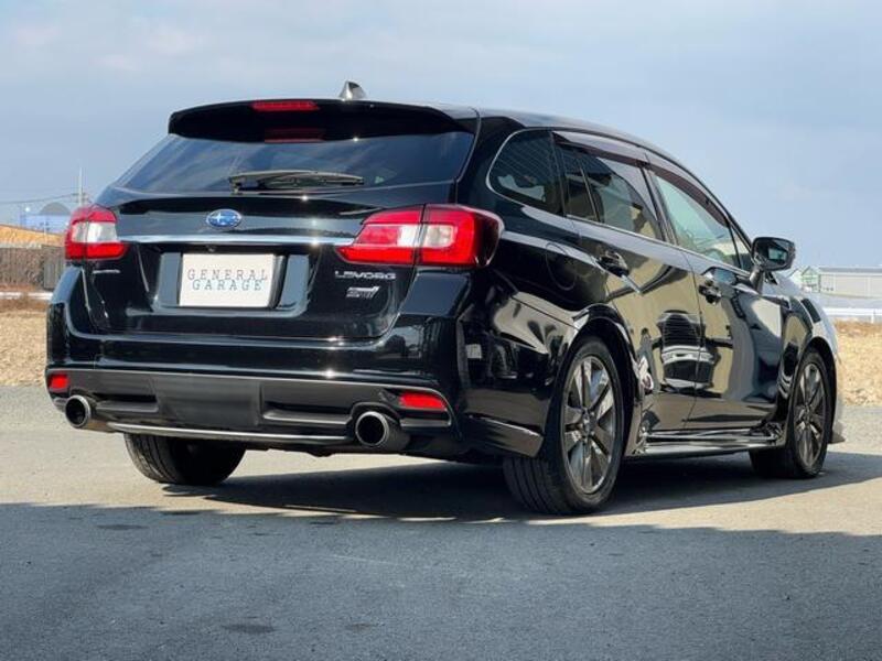 LEVORG