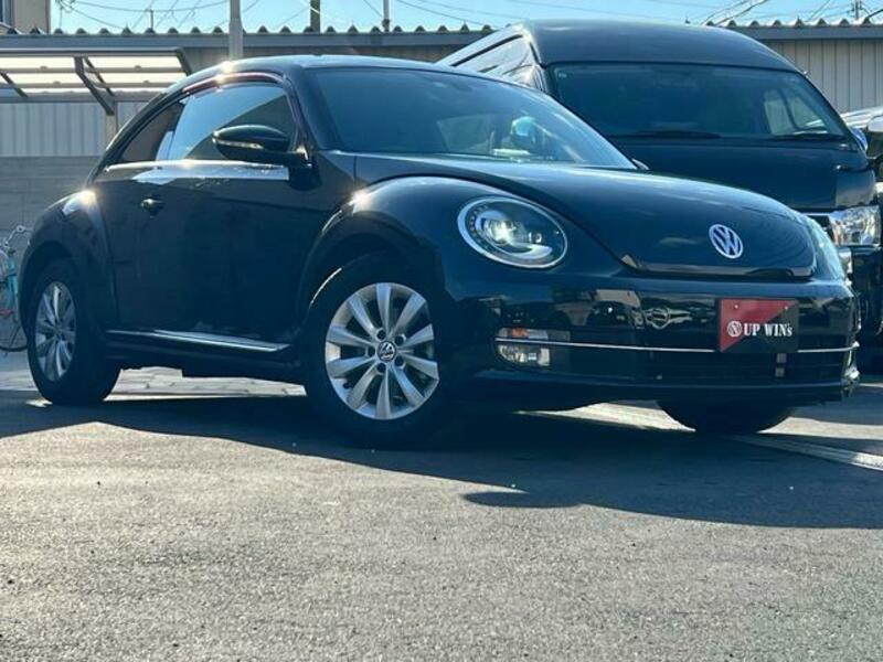 THE BEETLE
