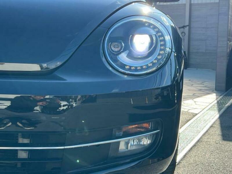 THE BEETLE