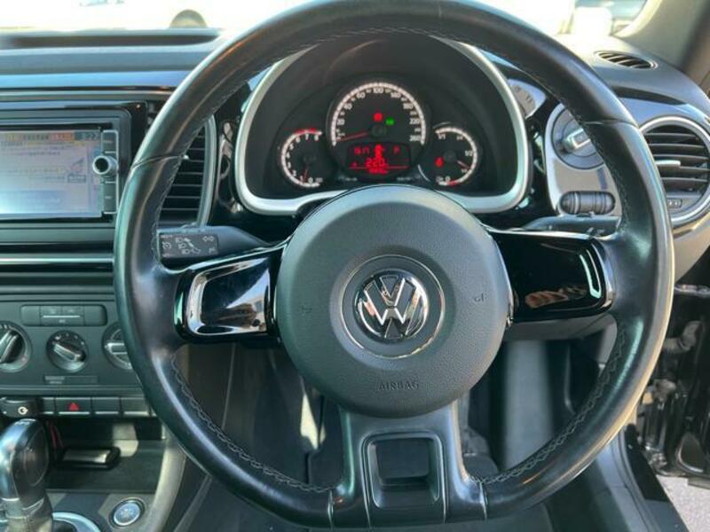 THE BEETLE