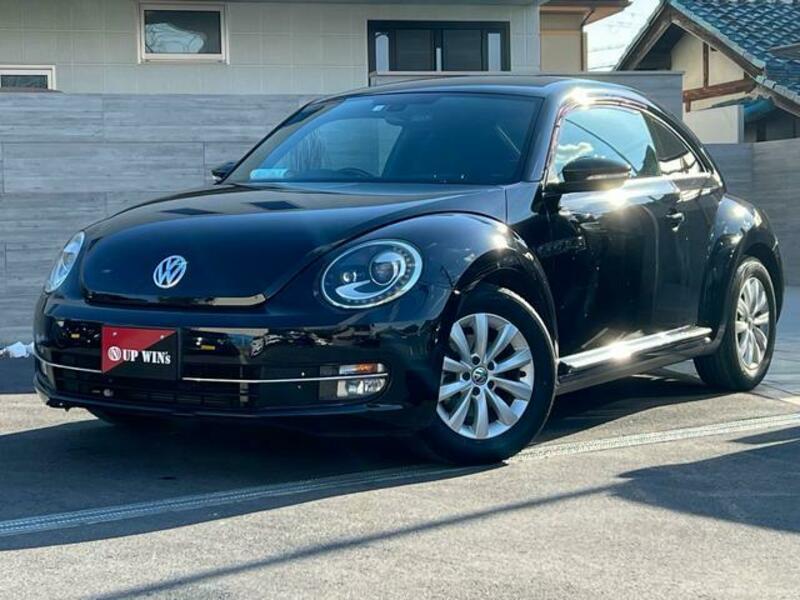 THE BEETLE
