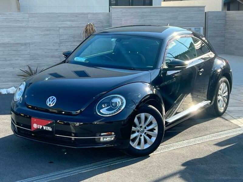 THE BEETLE