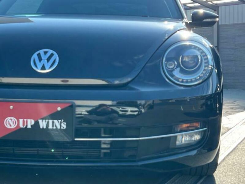 THE BEETLE
