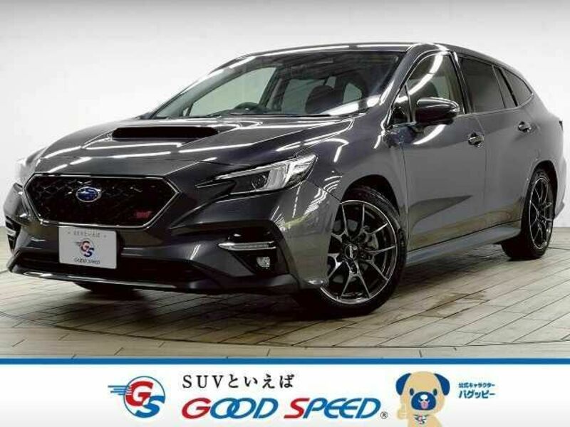 LEVORG-0