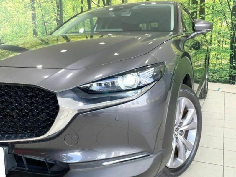 CX-30