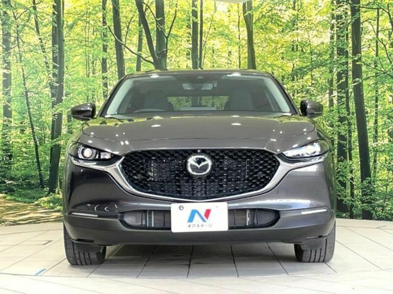 CX-30