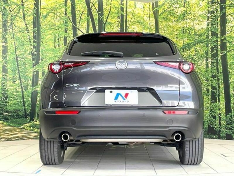 CX-30