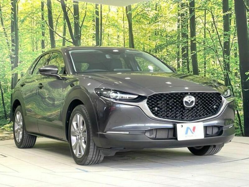 CX-30
