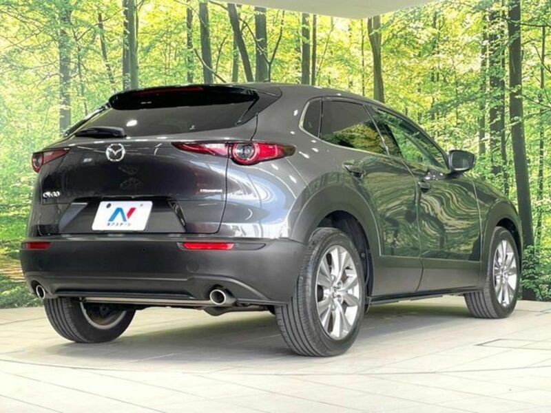 CX-30