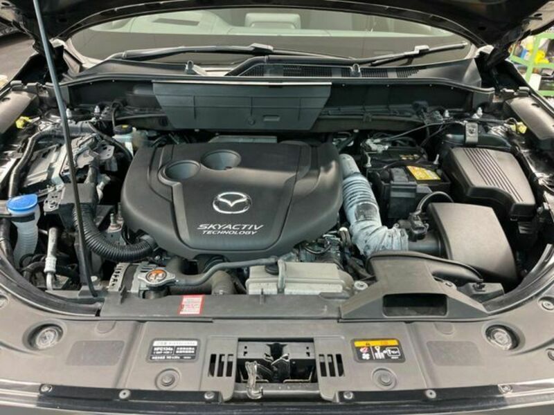 CX-8